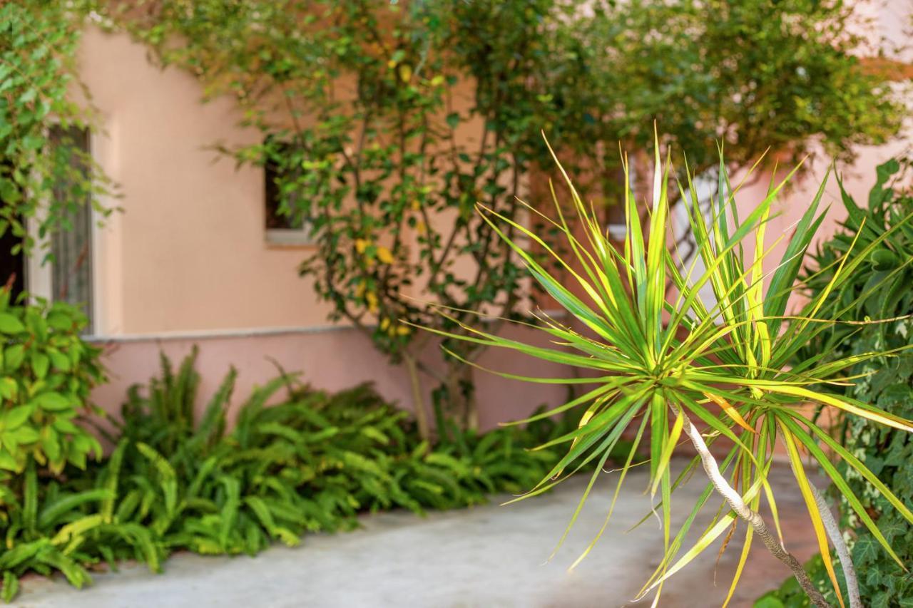 Aphrodite Studios & Apartment Bali  Екстер'єр фото