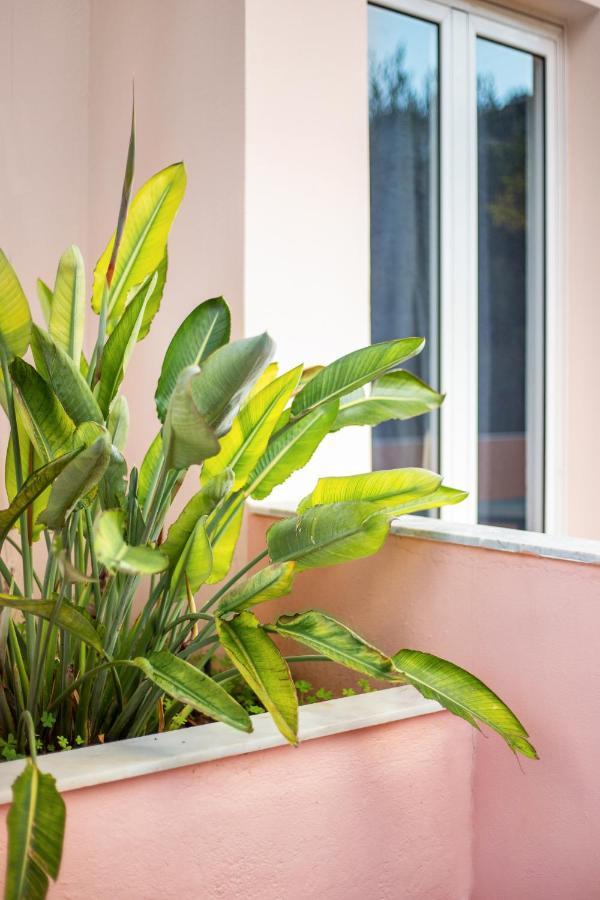 Aphrodite Studios & Apartment Bali  Екстер'єр фото