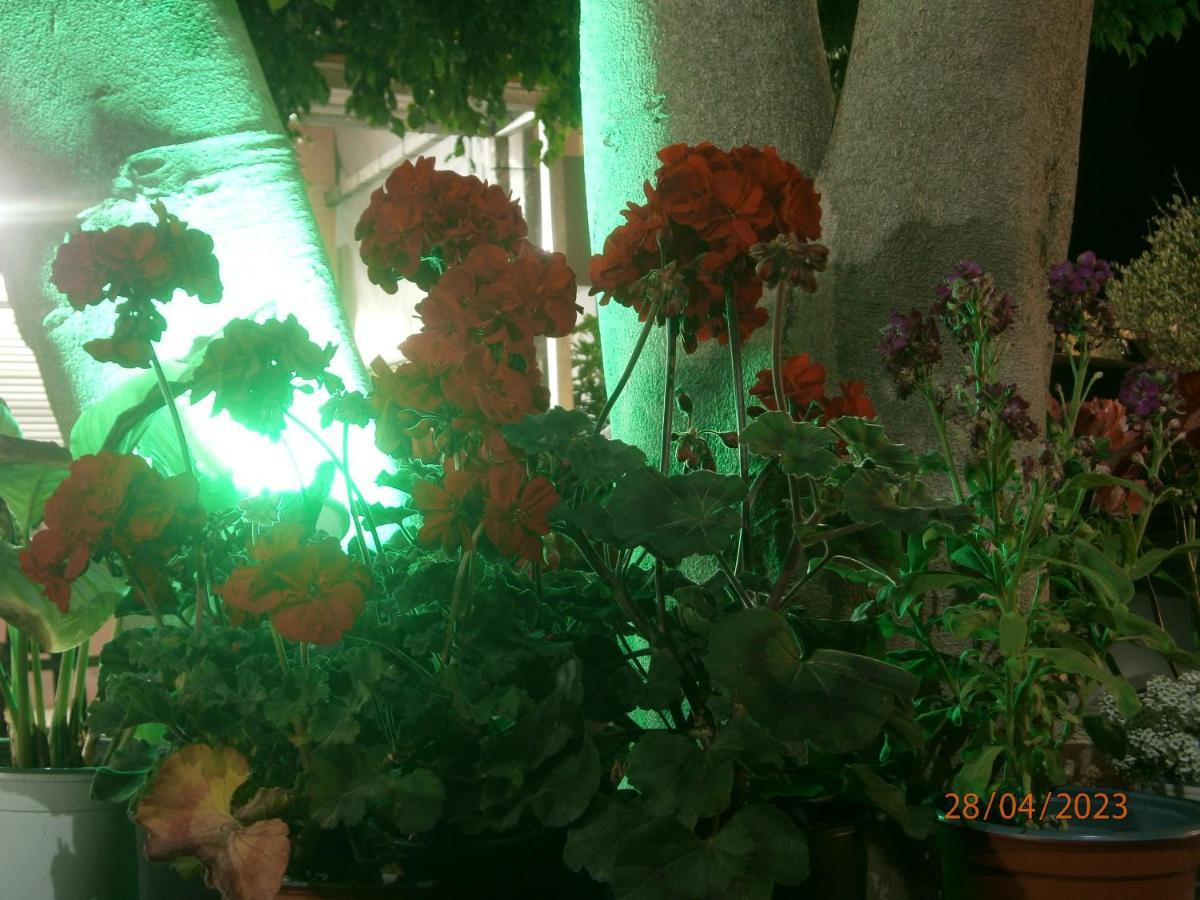 Aphrodite Studios & Apartment Bali  Екстер'єр фото